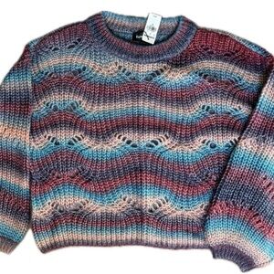 Express Cropped Striped Knit Sweater in Purple Blue Maroon and Pink